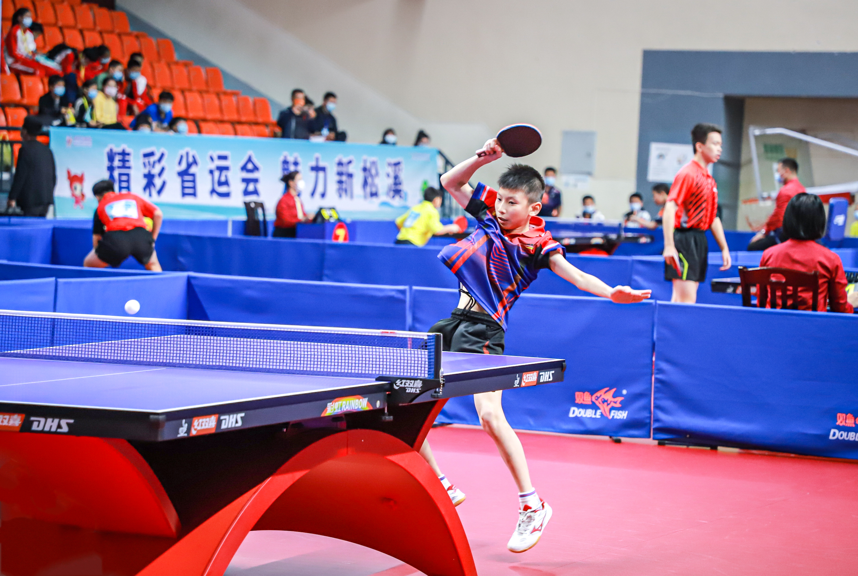 法蒂本人 法蒂本人