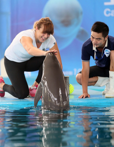 锋线深度一 锋线深度一